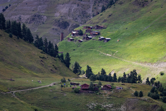 Gometsari Gorge, Tusheti National Park Photosafari.ge