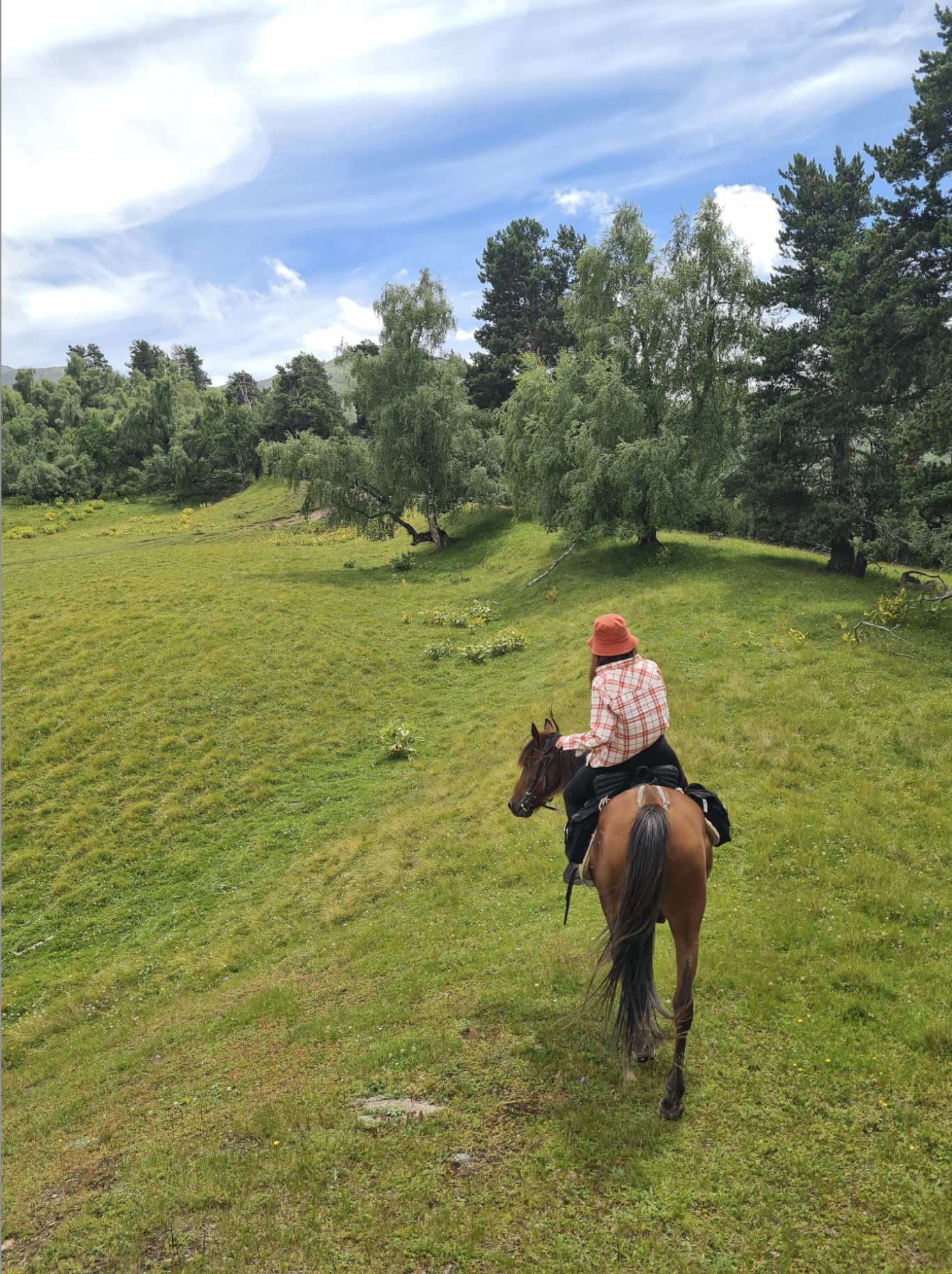Horse Riding