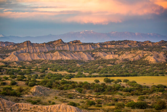 Badlands of Vashlovani National Park and Savanna-Like Forrest with Caucasus on the background