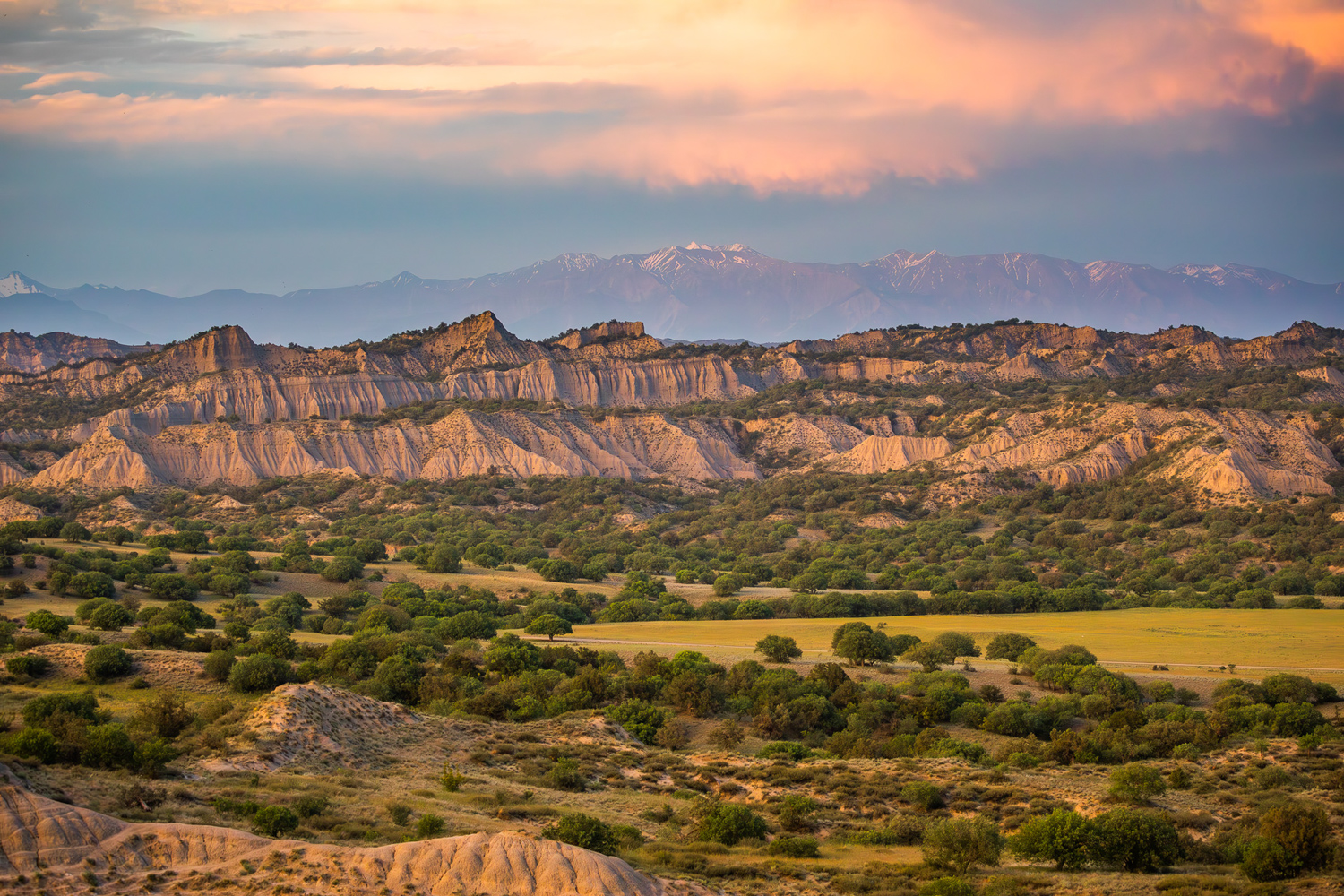 Badlands of Vashlovani National Park and Savanna-Like Forrest with Caucasus on the background