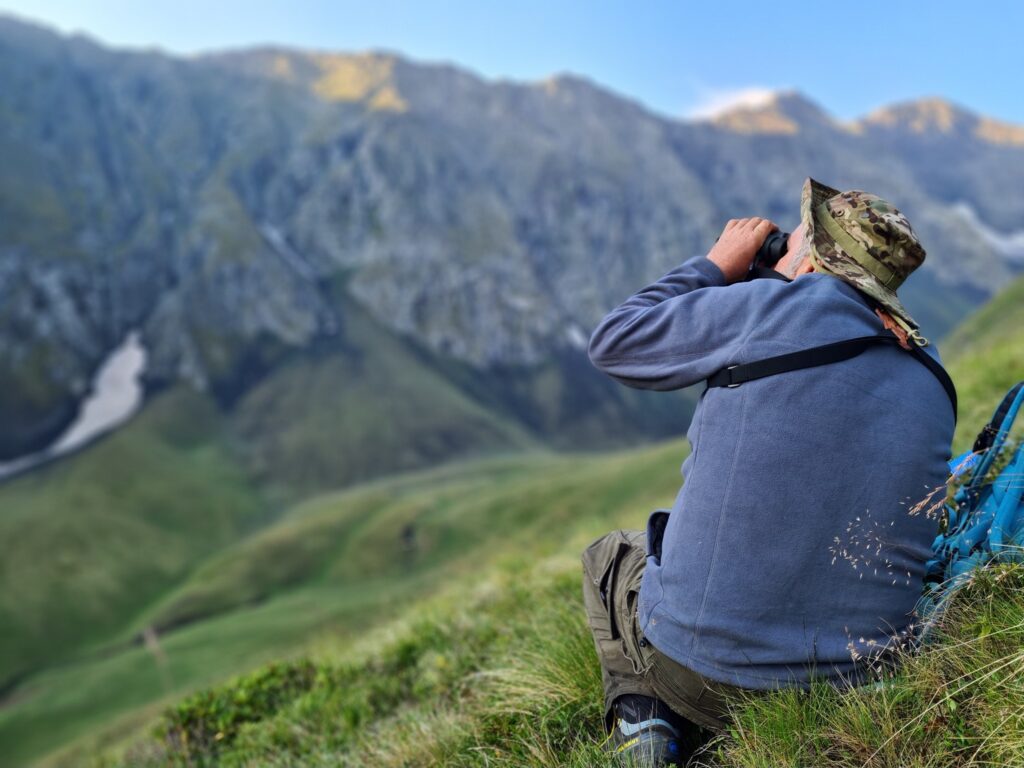Observing Eastern Caucasian Turs