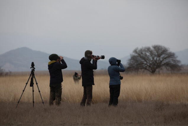 Group of Birdwatchers searching for rare birds in Chachuna Managed Reserve