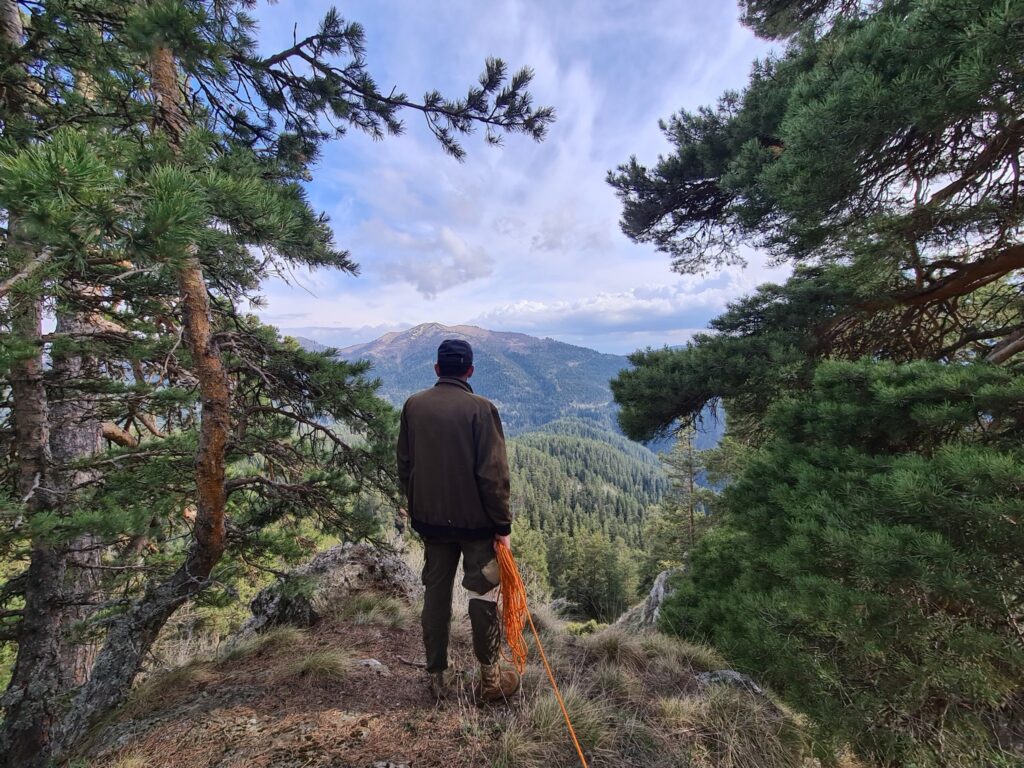 Window in the forest of Abastumani, Borjomi-kharagauli National Park