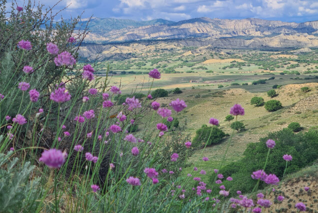 View from one of the Viewpoints of Vashlovani National Park