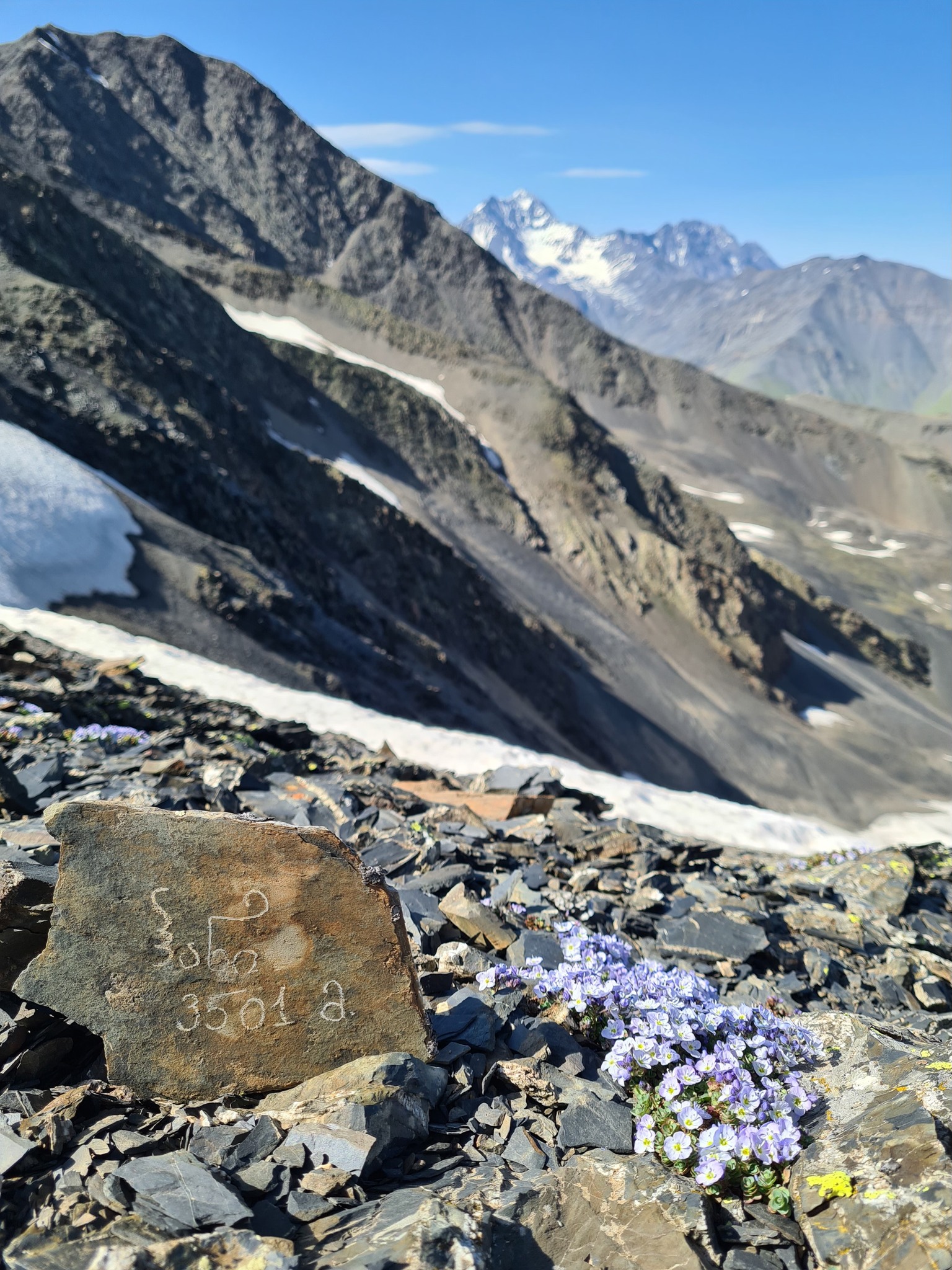 High mountains with honey