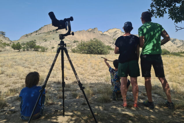 Watching the Nest of Griffon Vulture (Gyps fulvus) with Spotting Scope