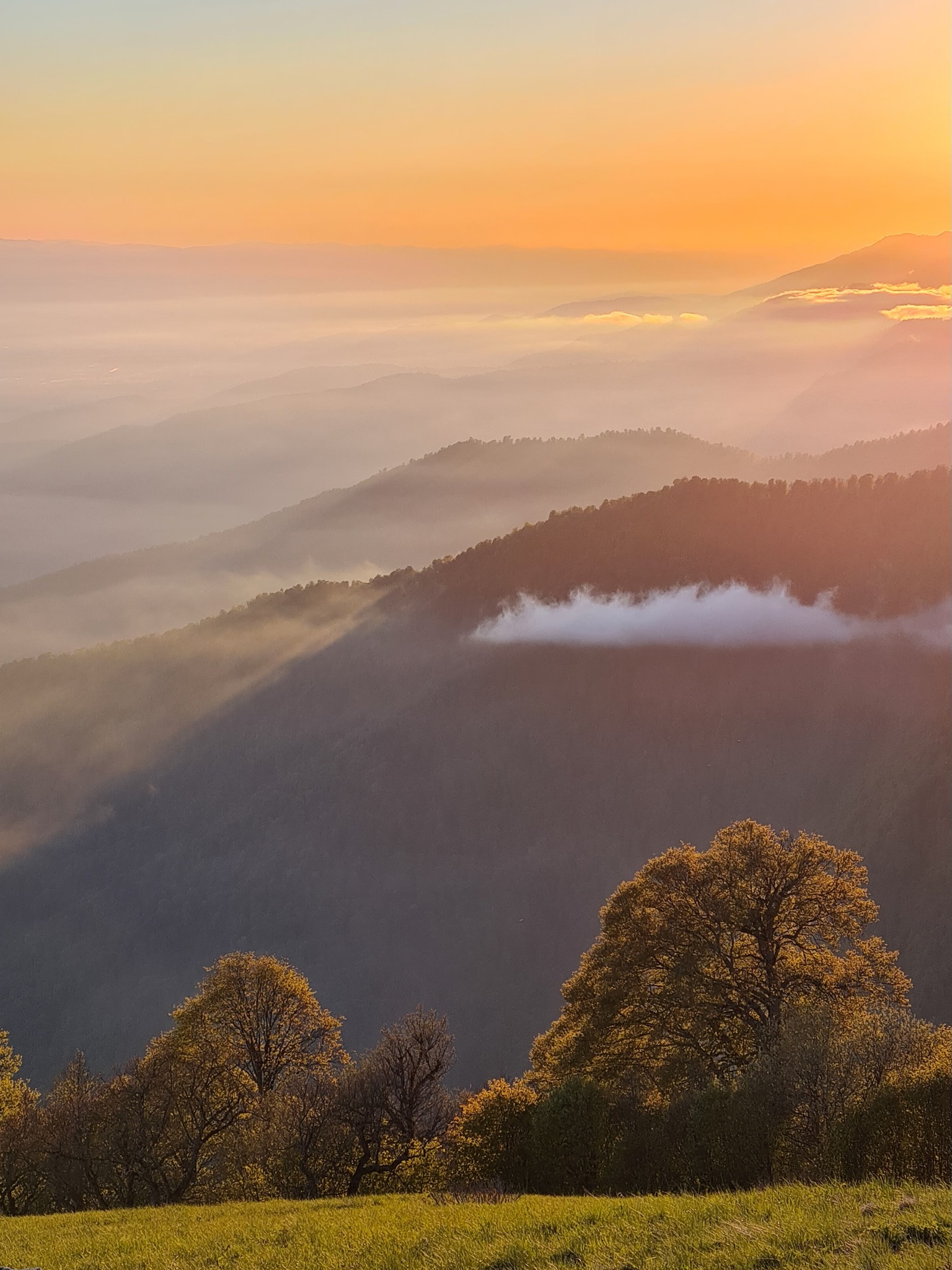 Views from Lagodekhi