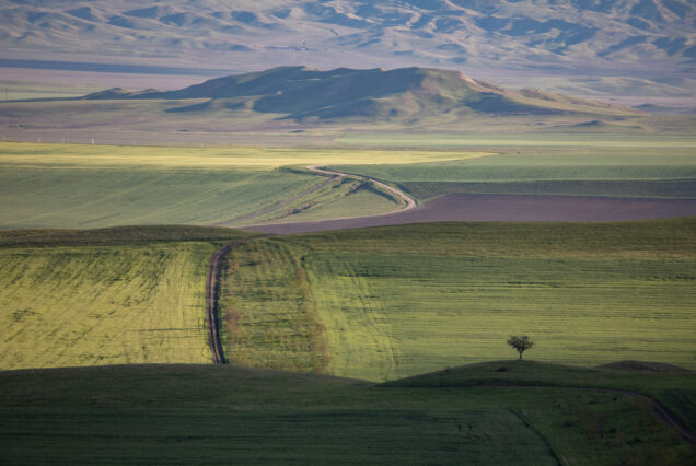 Road to Mud Volcanoes and Chachuna is Never Boring