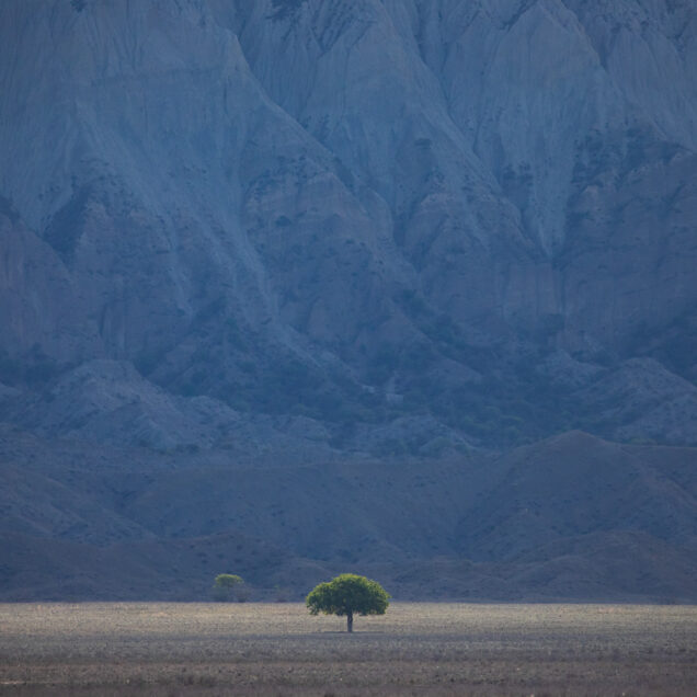 Vashlovani National Park