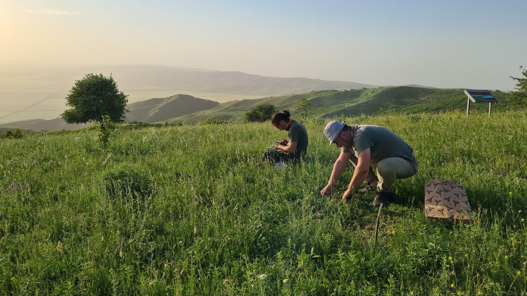 Measuring Pasture Conditions in Vashlovani National Park