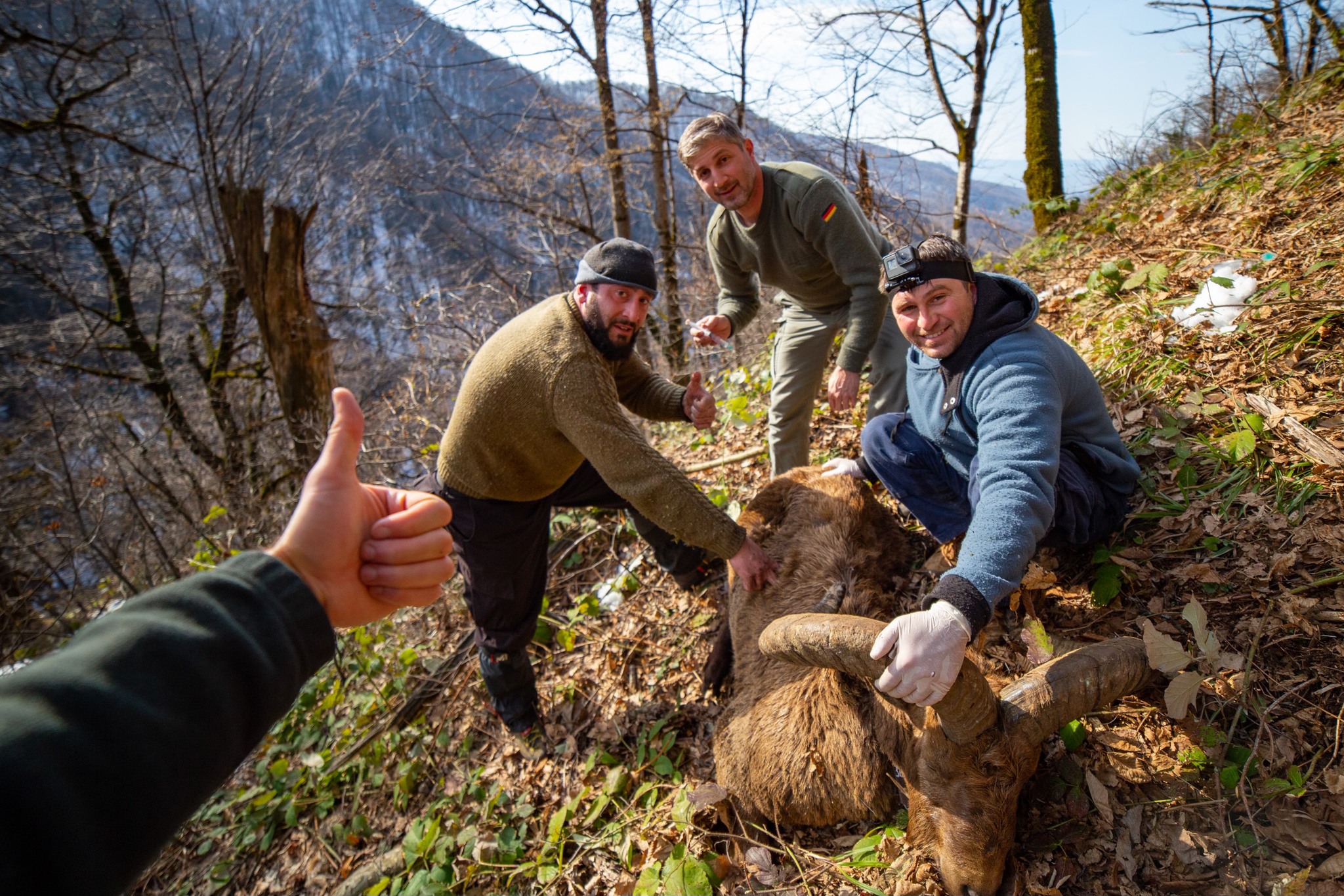 East-Caucasian Tur study