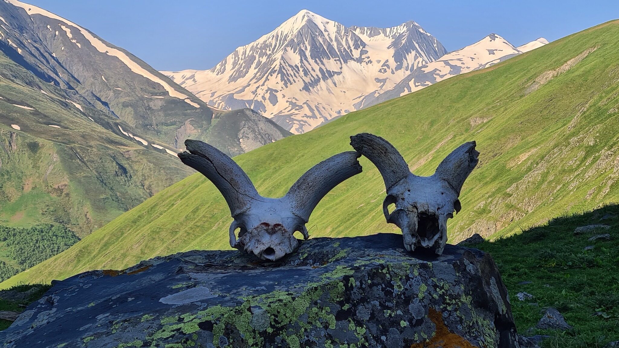 Turs skulls, Truso valley