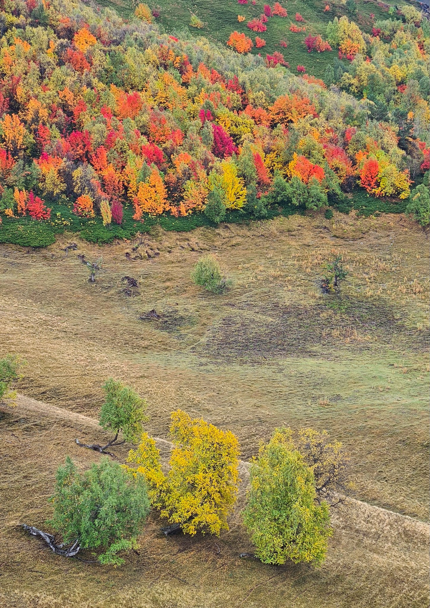 Autumn in Tusheti