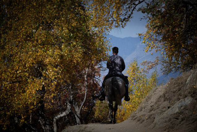 Returning from Oreti Lake by Horse