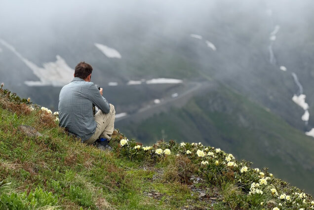 Photographing Thrilling Abano Road and Rhododendron Flowers