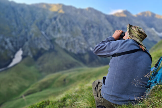 Visitor Watching East-Caucasian Turs in Tusheti