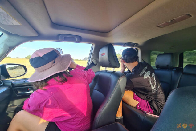 Watching Bee Eaters and Rollers from the car