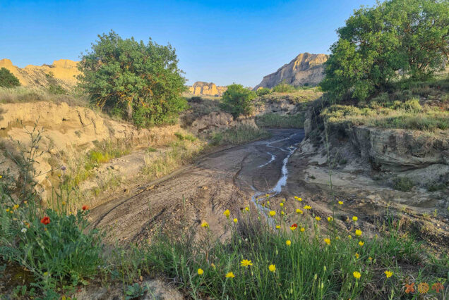 Riverbed in Mijniskure - morning hike follows animal tracks