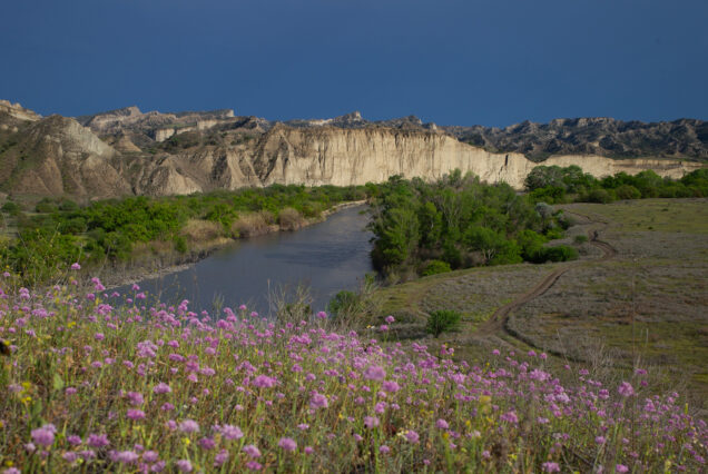 River Alazani in Mijniskure flows between yellow cliffs