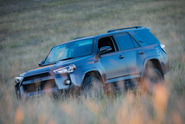 Safari and rough roads need trustworthy companion